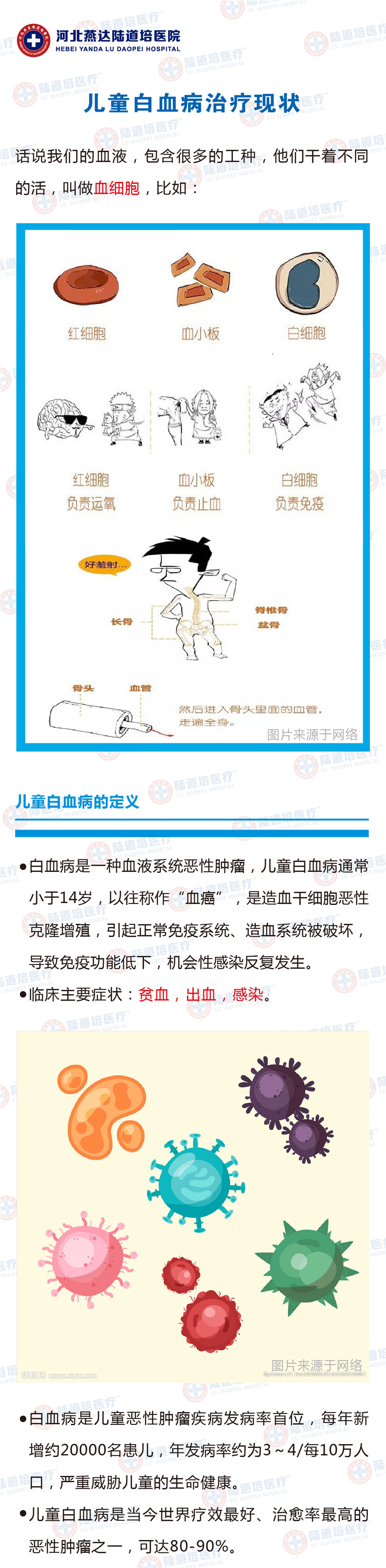 5ec242482ea54.jpg 5ec242482ea54.jpg