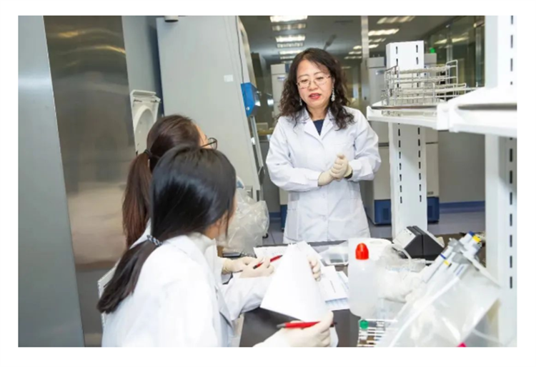 6255332508a0a.png 6255332508a0a.png