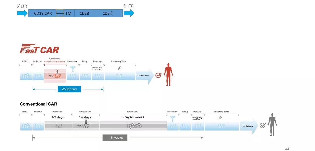 62cd23752ab73.jpg 62cd23752ab73.jpg