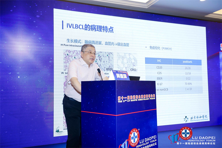 64a363548c8bb.jpg 64a363548c8bb.jpg