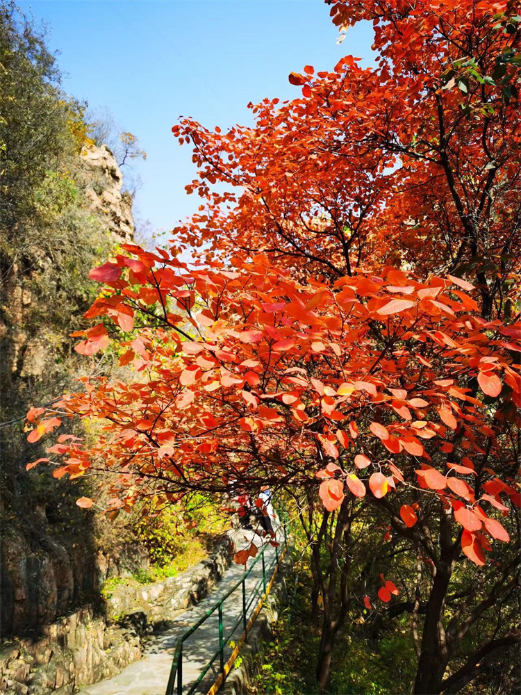 654899a4d758a.jpg 654899a4d758a.jpg