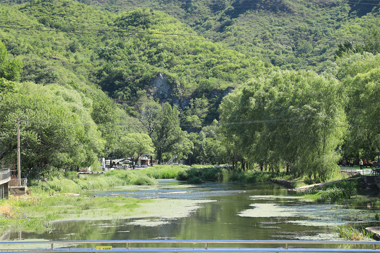 66615fedaeb07.jpg 66615fedaeb07.jpg