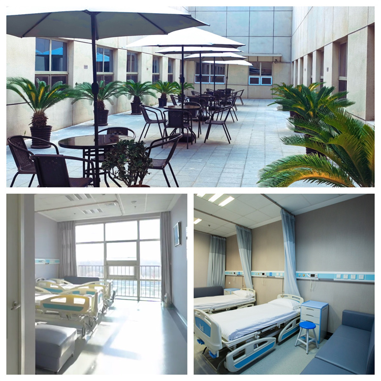 669e167754a7c.jpg 669e167754a7c.jpg