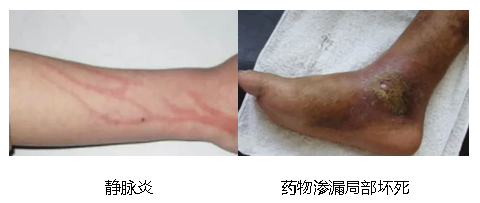 669e1a0f44c37.png 669e1a0f44c37.png