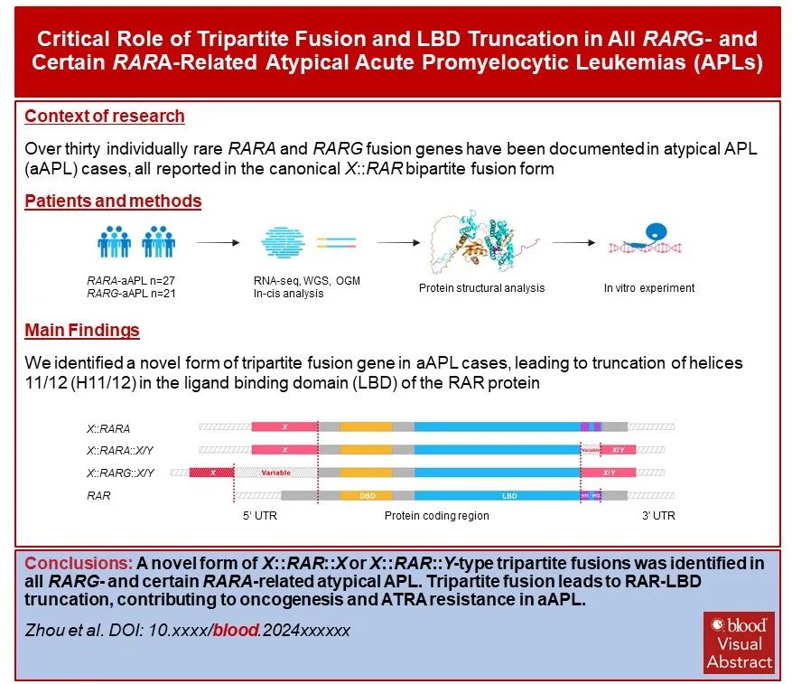 66a2f5d47c9e5.jpg 66a2f5d47c9e5.jpg