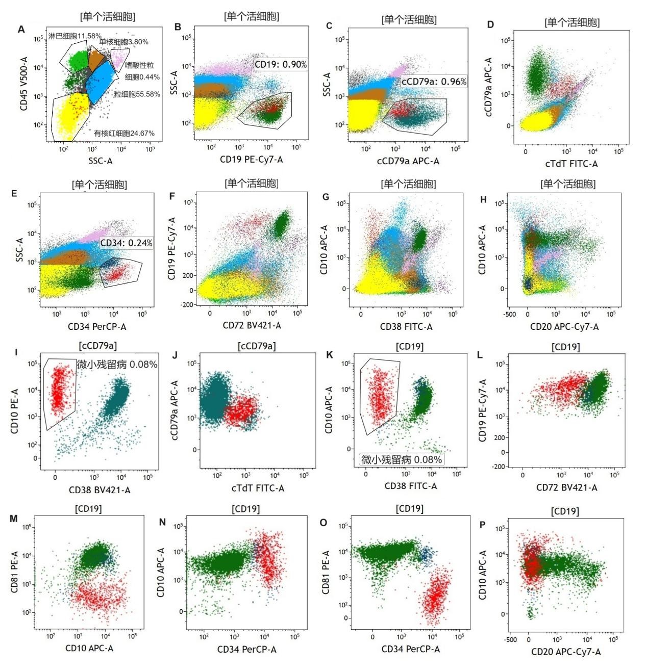 66b1c849c68a8.jpg 66b1c849c68a8.jpg