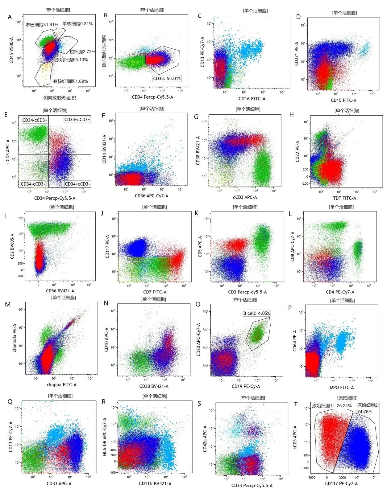 66b1c8617676b.jpg 66b1c8617676b.jpg