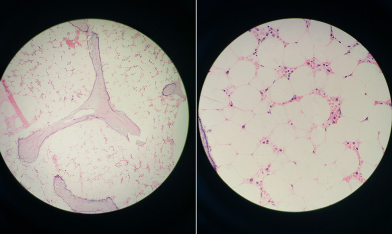 67341286b891a.jpg 67341286b891a.jpg