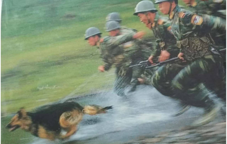 673413a49a96b.jpg 673413a49a96b.jpg