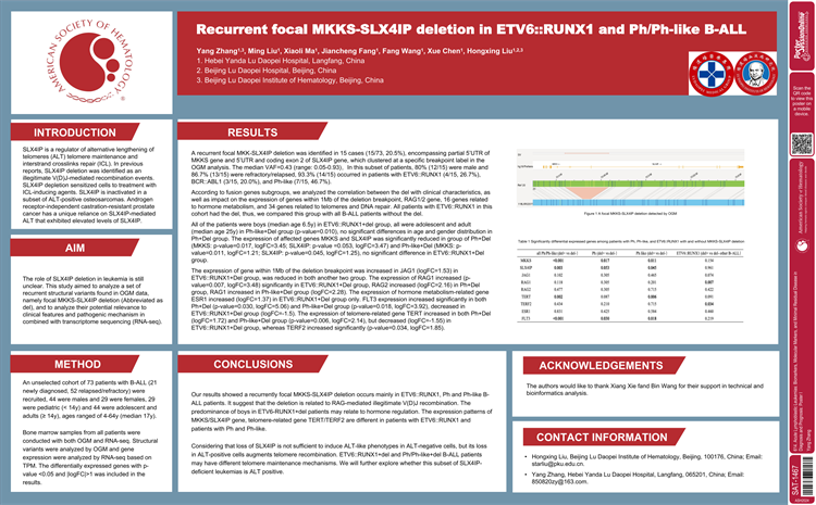 67595b625850a.png 67595b625850a.png